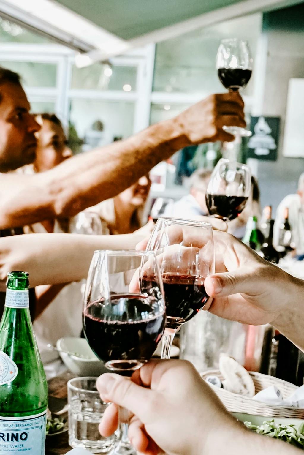 a group of people cheersing glasses of red wine