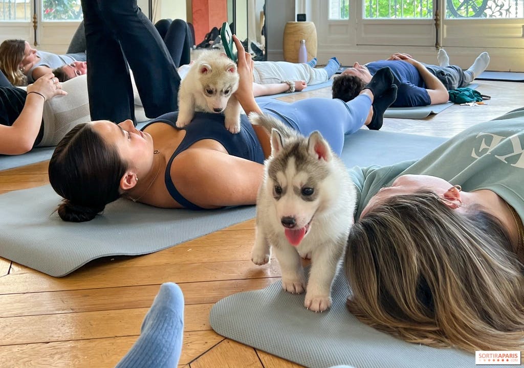 people laying on yoga mats surrounded by puppies