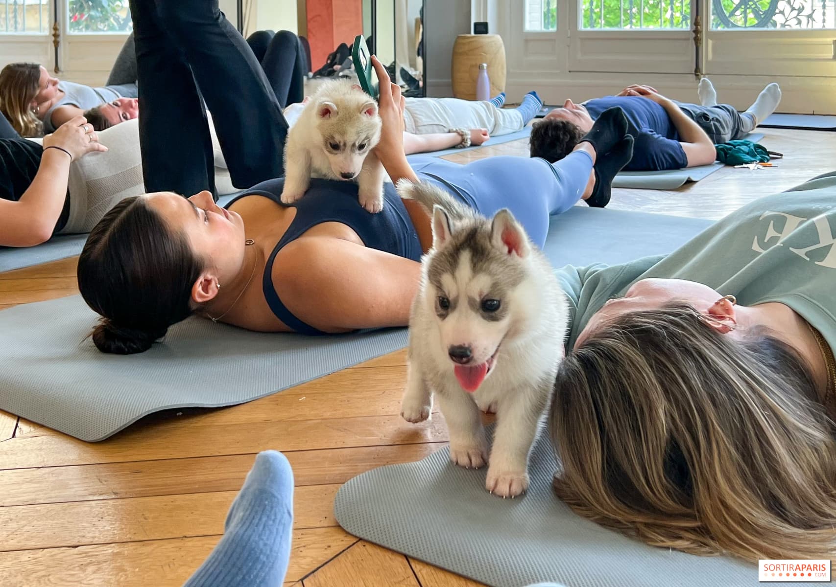Puppy Yoga team building activity in NYC - Wellness and fun combined, Instagram-worthy - Manhattan and Brooklyn