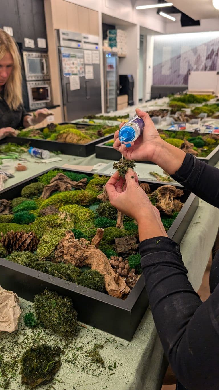 A close-up of hands applying glue to moss for a framed moss wall art piece, surrounded by natural elements like bark and pinecones.